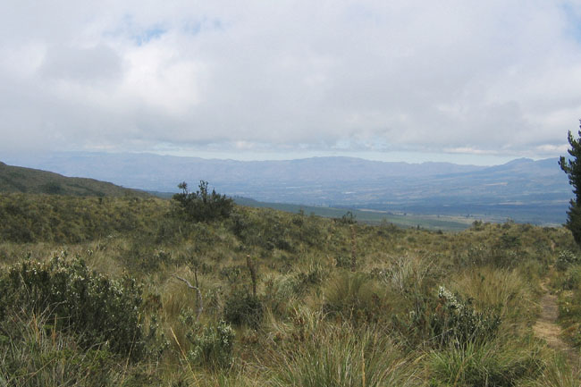 20070729g_CotopaxiParamo