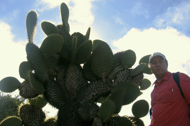 20070731g_D_SouthPlaza_Opuntia