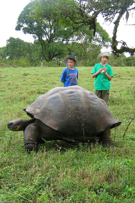 20070801k_SM_SantaCruz_Tortoise