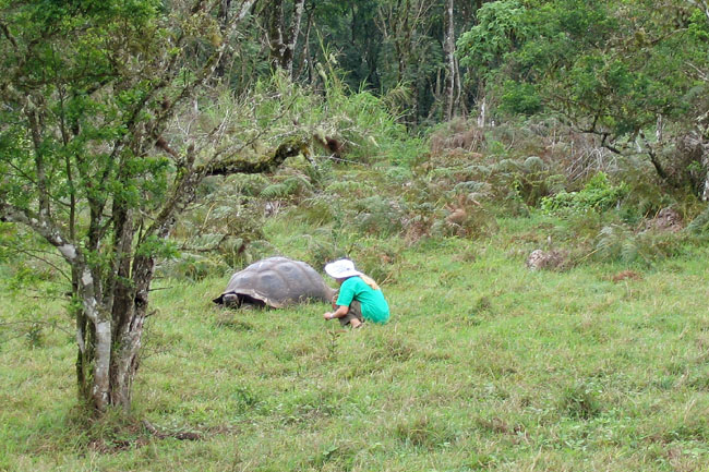 20070801l_S_SantaCruz_TortoiseStalking