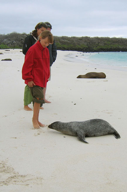 20070802a_S_EspanolaGardnerBay_CuriousPup