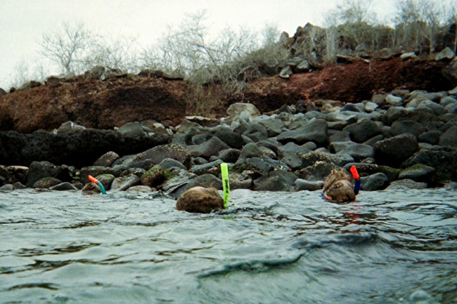 20070802k_U119A_DSM_Gardner_Snorkeling