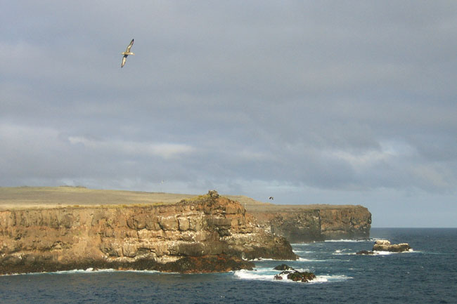 20070802y_EspanolaPuntaSuarez_View