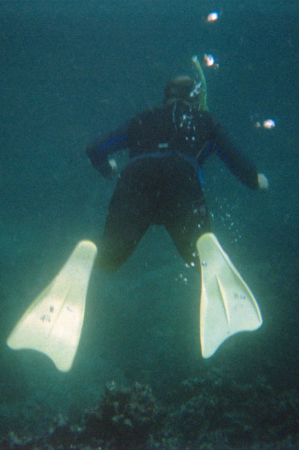 20070803h_U108A_D_FloreanaDevilsCrown_Snorkeling
