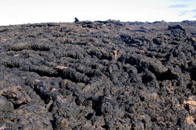 20070804c_IsabelaPuntaMoreno_RopyPahoehoeLava