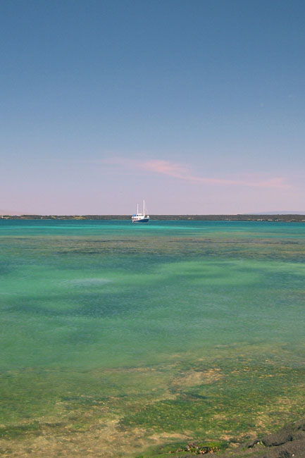 20070805o_FernandinaPuntaEspinosa_Samba