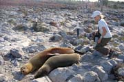 20070731f_S_SouthPlaza_SeaLions