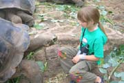 20070801a_S_SantaCruz_Tortoise