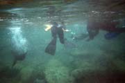 20070802i_U121A_DS_EspanolaGardnerBay_SeaLions