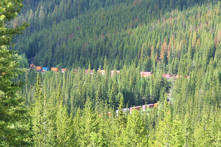 20090615_KickingHorsePassSpiralTunnel