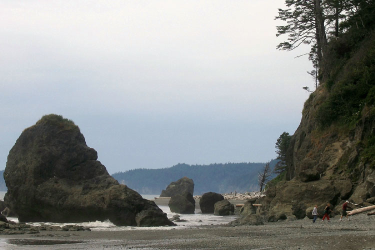 20090623_DSM_RubyBeachWAPiedPiper