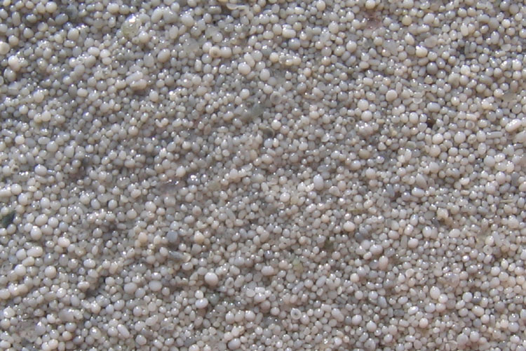 20090629_GreatSaltLakeSandGrains