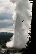 20090604_OldFaithful_cropped