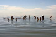 20090629_DSM_GreatSaltLakeFloating