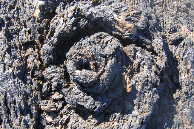 20070804d_IsabelaPuntaMoreno_LavaRosette