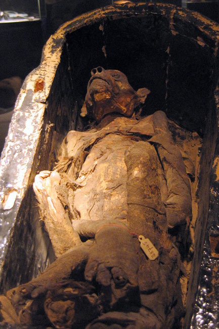 20060323w_LuxorMummifiedBaboon