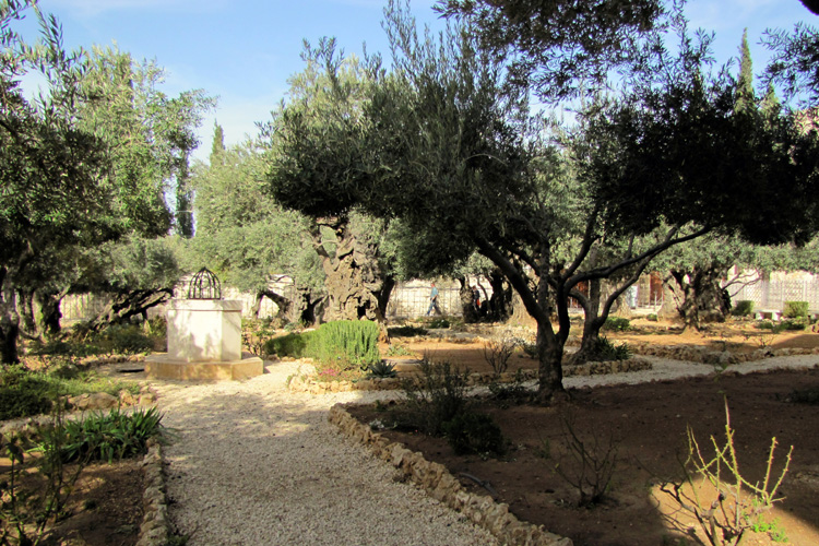 20101221n_GardenOfGethsemane