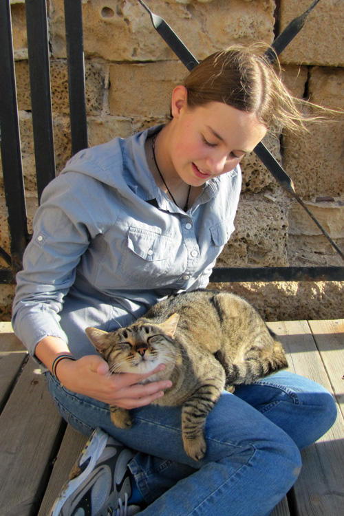 20101226g_S_CaesareaCat