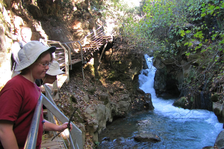 20101228a_DSM_BaniasWalk