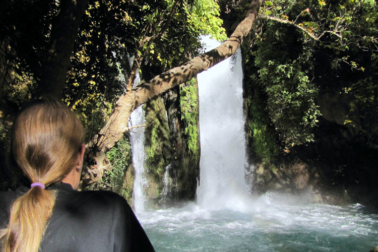 20101228d_S_BaniasWaterfall