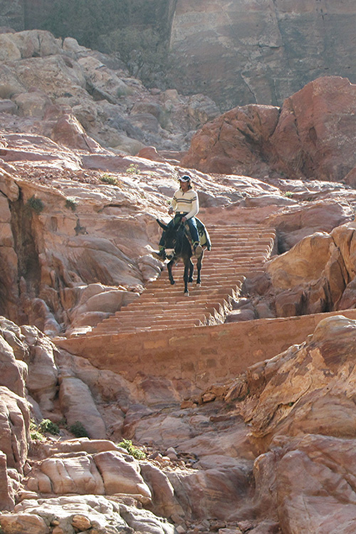 20110102s_PetraDonkeySteps