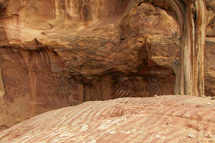 20110103p_PetraColors