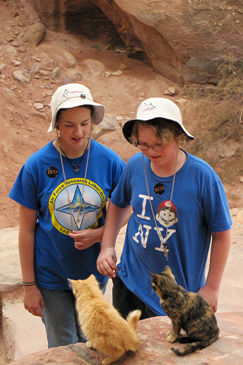 20110103v_SM_PetraKittens