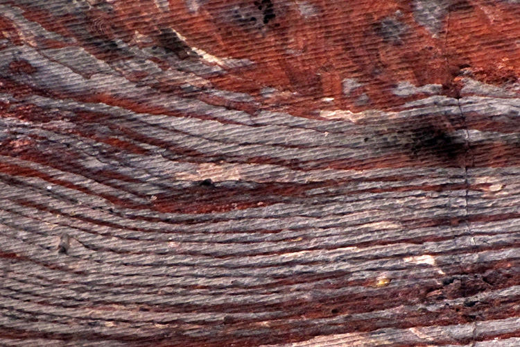 20110103zd_PetraCeilingRock