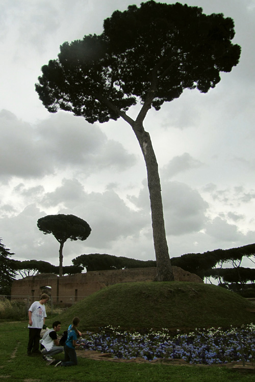 20120604g_SMRicardo_PalatineHill