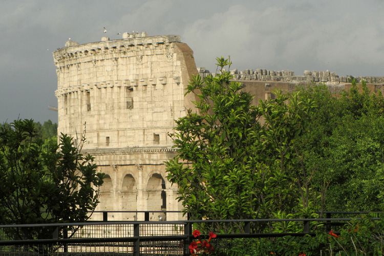 20120604o_RomeColosseumSeagulls