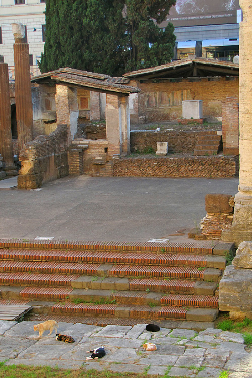 20120606m_RomeRandomRuinsWithCats