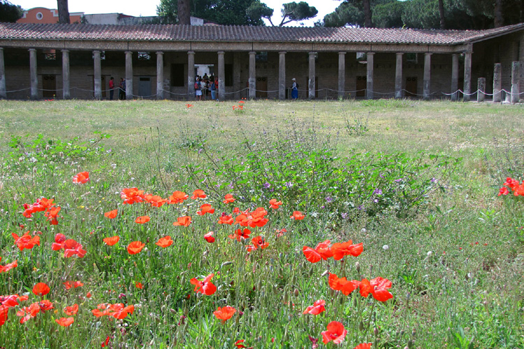 20120609k_PompeiiBarracksPoppies