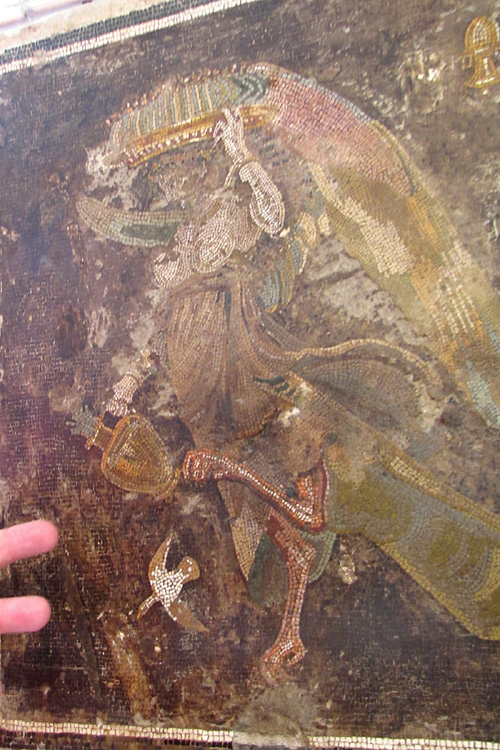 20120609y_MuseoPompeiiMosaic