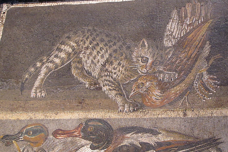 20120609z_MuseoCatMosaic