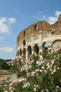20120602a_ColosseumFlowers