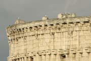 20120604p_RomeColosseumSeagulls