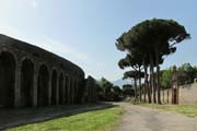 20120609d_PompeiiAmphitheaterPines