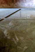 20120609l_PompeiiBones